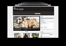 about_bar-e1326827050373-232x162 canisclub sitios web para criadores